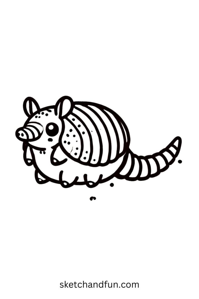 Baby Armadillo 