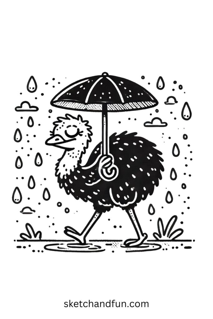 Rainy Day Emu 