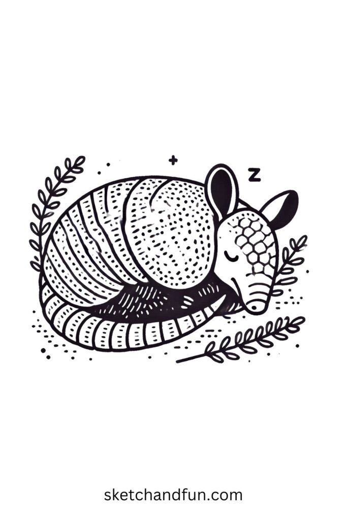 Sleeping Armadillo Drawing