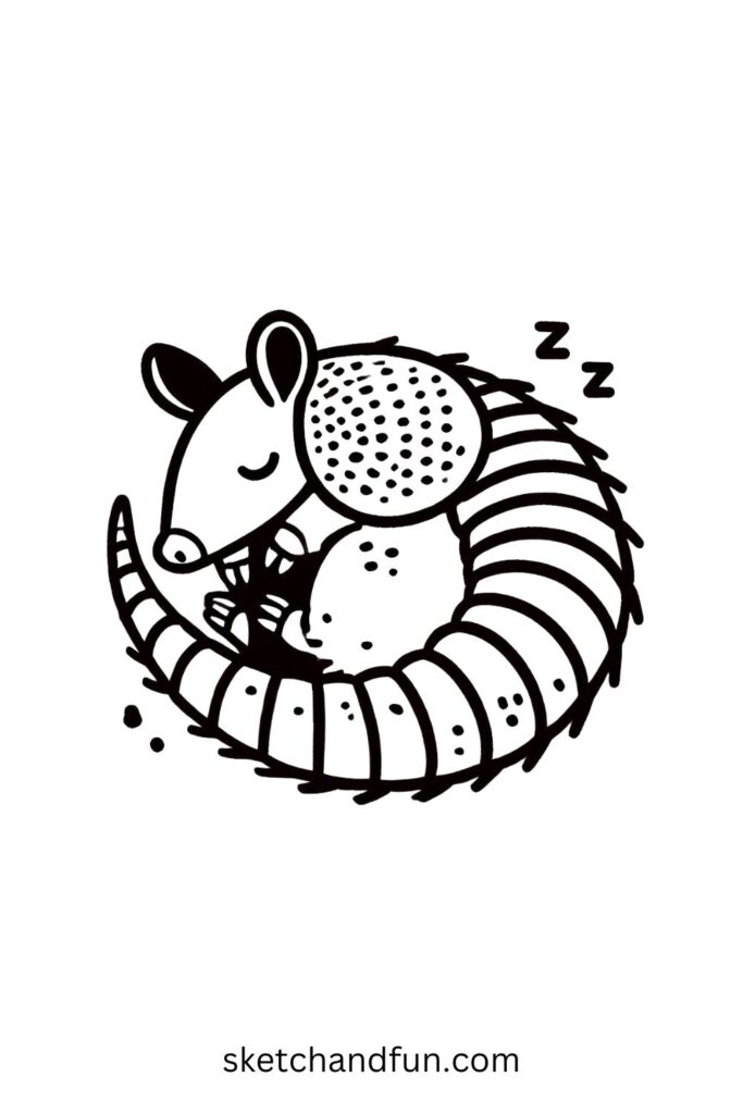 Sleeping Armadillo Drawing