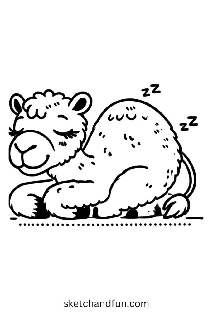 Sleeping Camel Drawing
