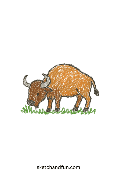 Easy bison drawing of a shaggy bison grazing calmly, simple animal sketch for kids and wildlife lovers interested in drawing step by step.