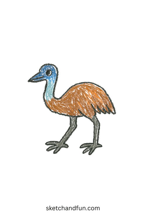 Beginner emu drawing of a fluffy emu chick walking in grass, simple bird sketch idea for kids learning to draw farm and wild birds.