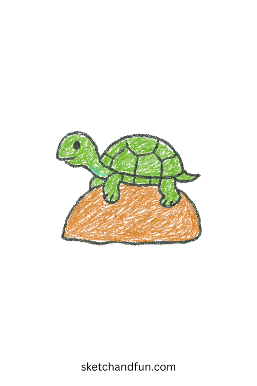 Beginner turtle drawing featuring a shy turtle resting by a pond, simple reptile sketch perfect for kids learning how to draw aquatic animals.