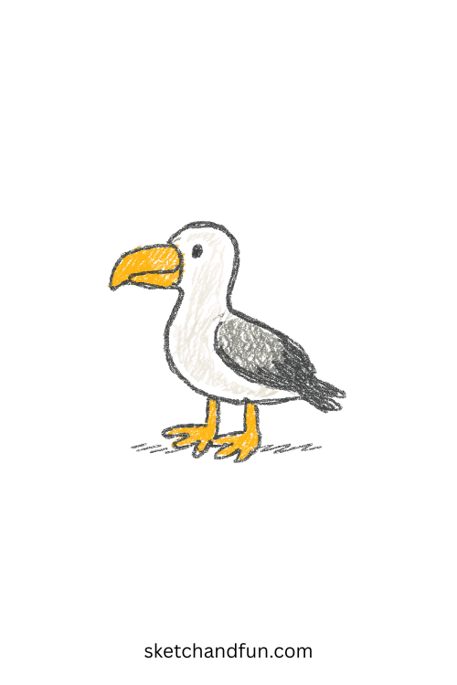 Simple albatross drawing for beginners showing a graceful albatross gliding over the ocean, perfect bird animal art for kids and wildlife lovers