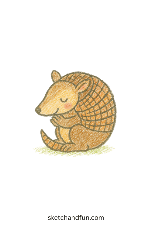 Beginner armadillo drawing of a shy armadillo curled into a ball, simple animal art perfect for kids learning about unique wild creatures.