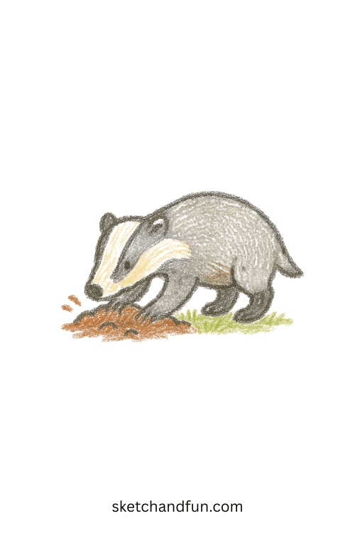 Simple badger drawing for kids featuring a cheerful badger digging in soft soil, beginner-friendly animal sketch perfect for woodland wildlife art.