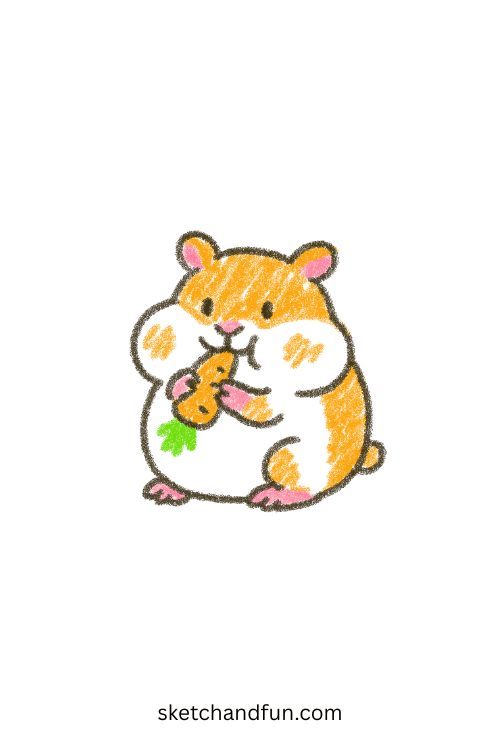 Simple hamster drawing featuring a chubby hamster holding a seed, beginner-friendly pet animal sketch for kids and adorable drawing ideas.