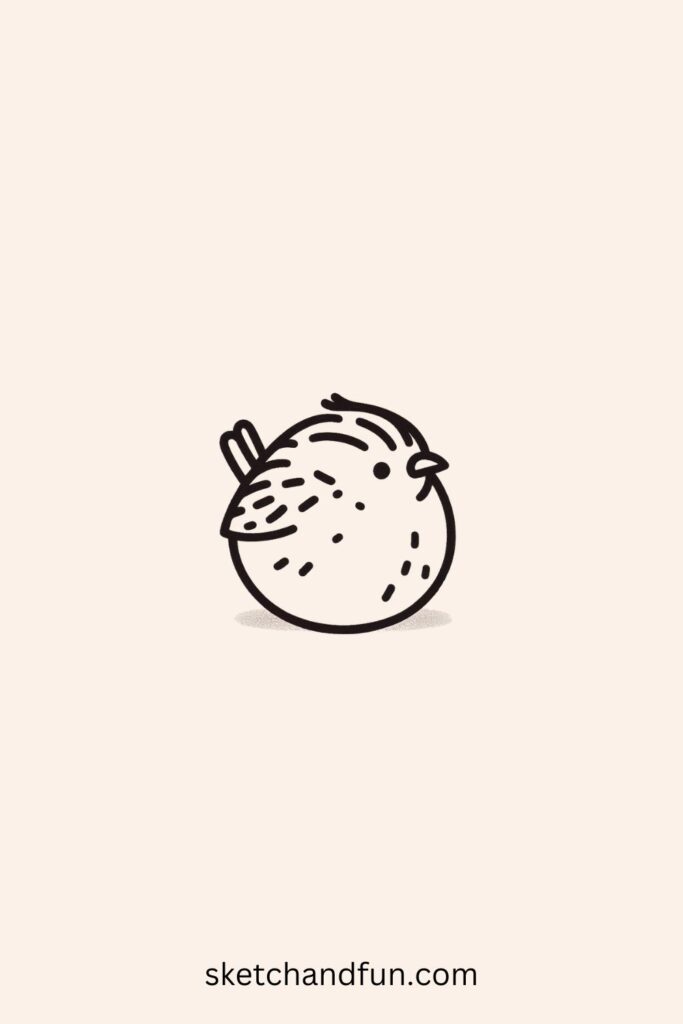 Easy Cute Fluffy Quail Bird Drawing