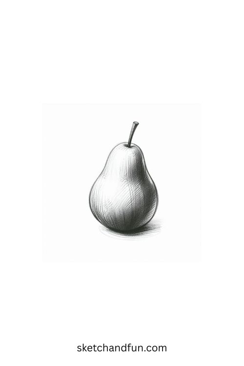 Sketch Drawing Idea, Pear