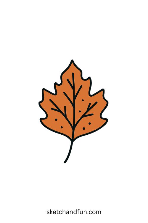 Leaf Drawing For Kids, Autumn Leaf