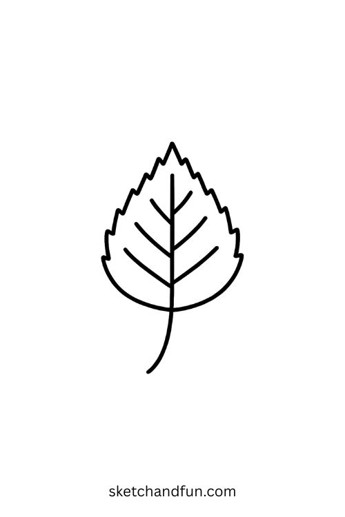 Cute Easy Leaf Drawing, Birch Leaf