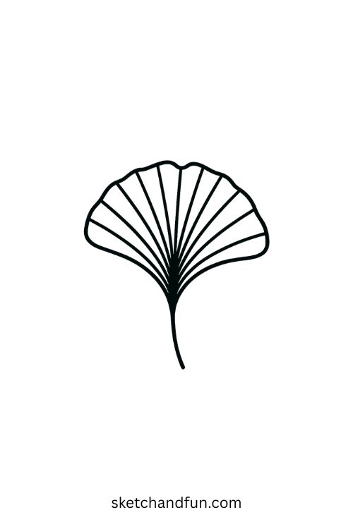 Cute Ginkgo Leaf Drawing
