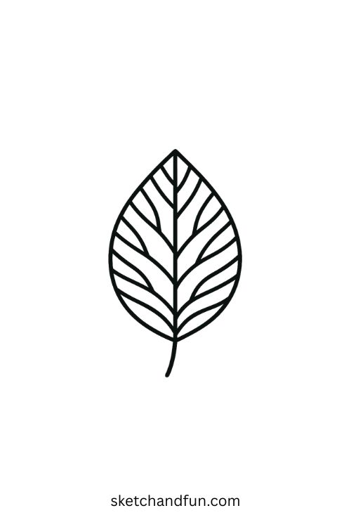 Drawing Of Leaf Filled With Branching Lines
