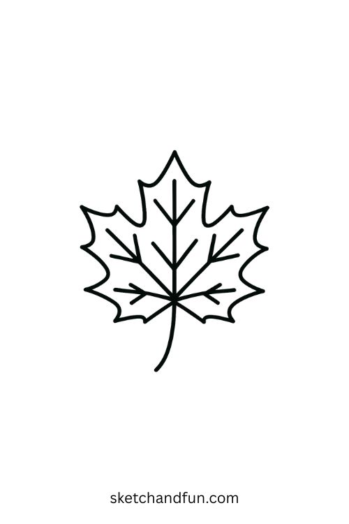 Easy Maple Leaf Drawing