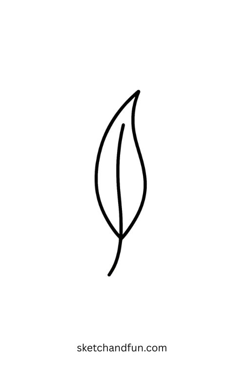 Simple Easy Leaf Drawing, Willow Leaf