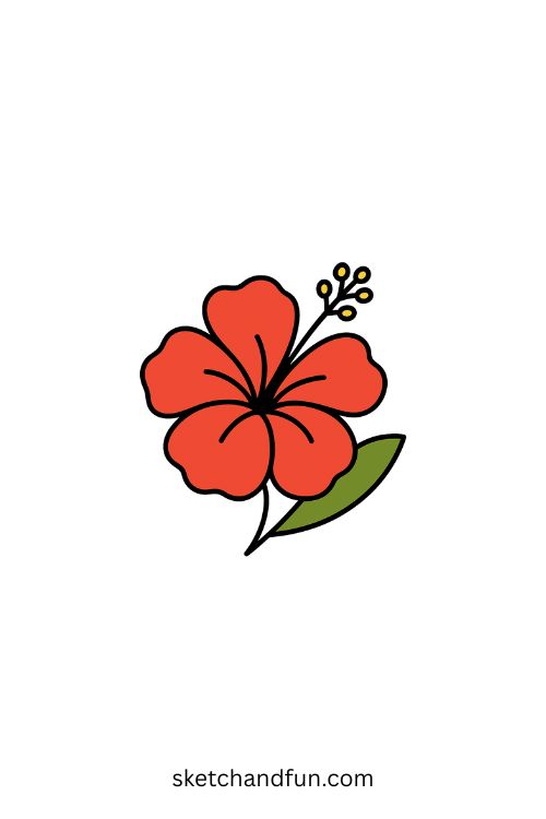 Simple Flower Drawing, Hibiscus Drawing