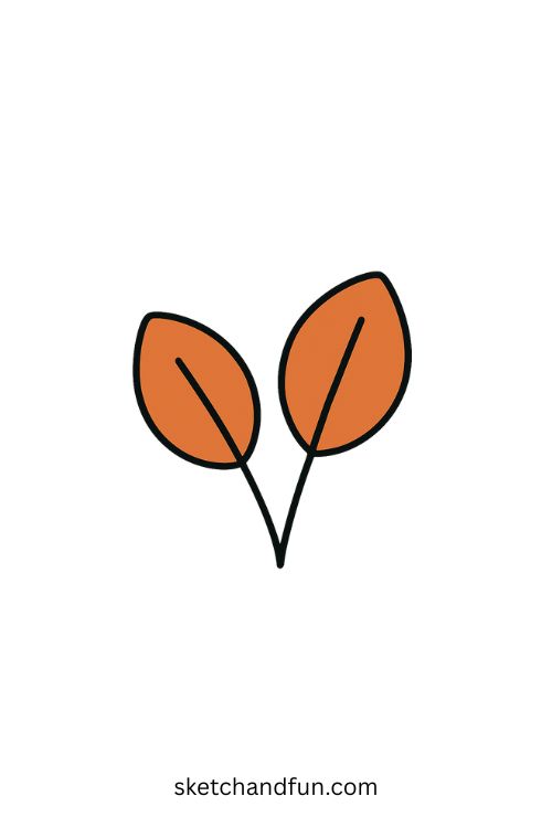 Cute Orange Oval-shaped Leaves Drawing