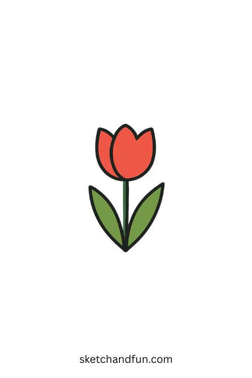 Simple Tulip Flower Drawing