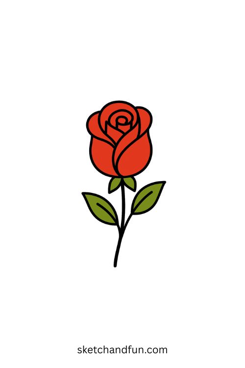 Cute Flower Drawing, Single Rose Drawing 