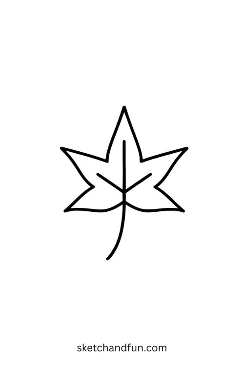 Cute Leaf Drawing, Sweetgum Leaf