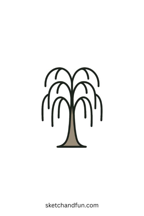 Willow Tree Drawing