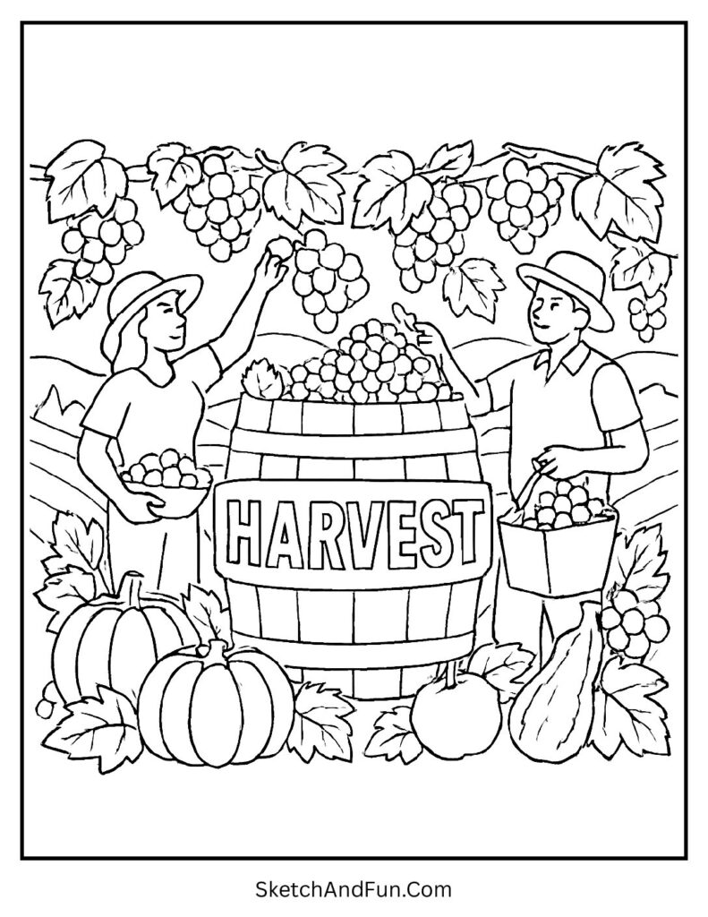 Grapes in barrels for vineyard harvest coloring pages.