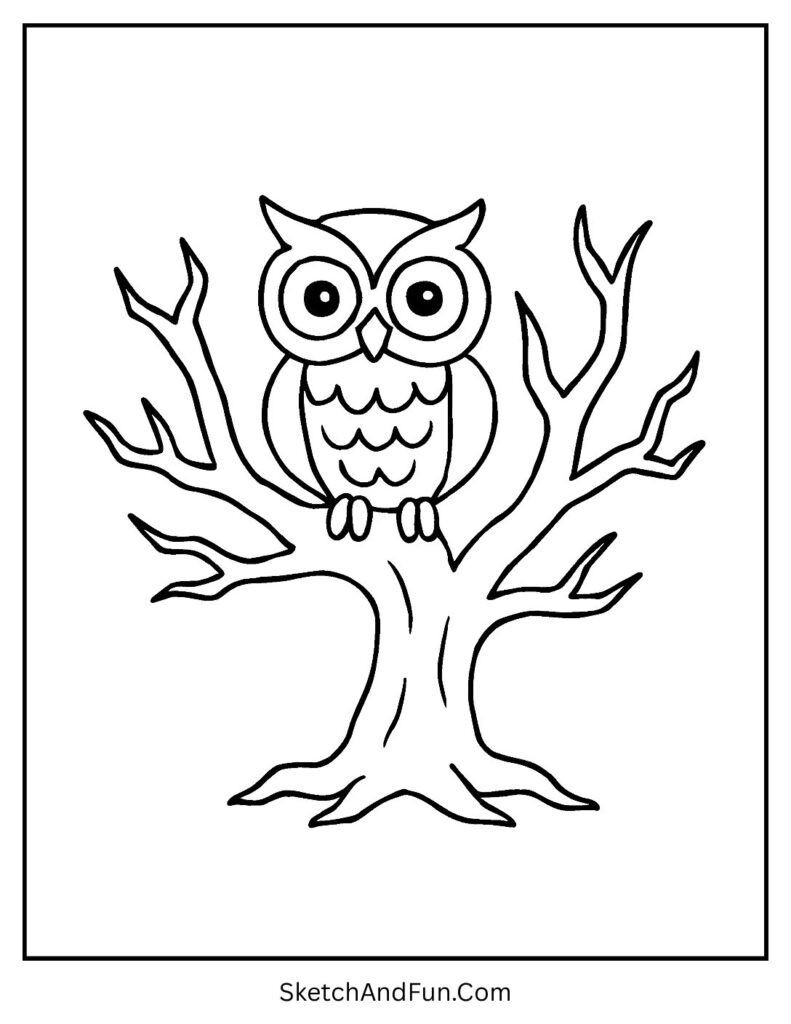 A wide-eyed owl sitting on a spooky tree – Halloween coloring pages for preschool