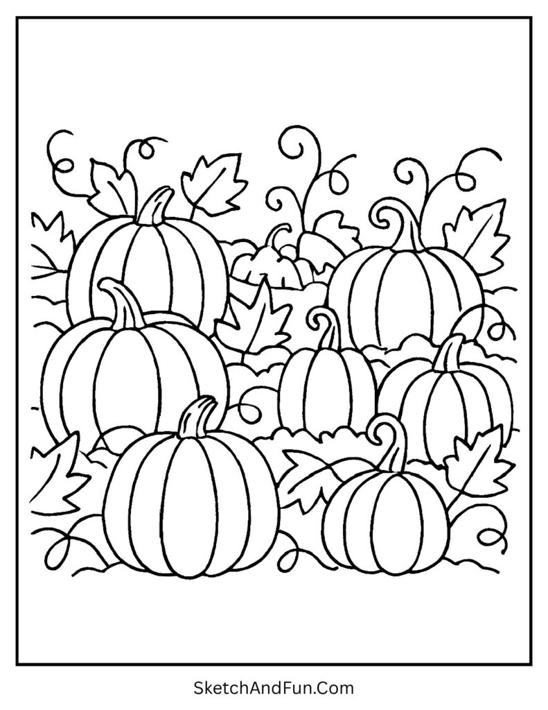 A pumpkin patch full of curly-stemmed pumpkins – Halloween coloring templates free