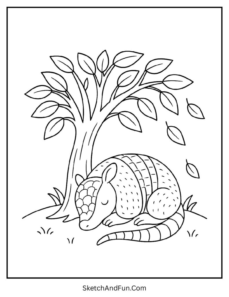 Tiny armadillo sleeping under a tree with leaves – baby armadillo coloring page soft and peaceful.