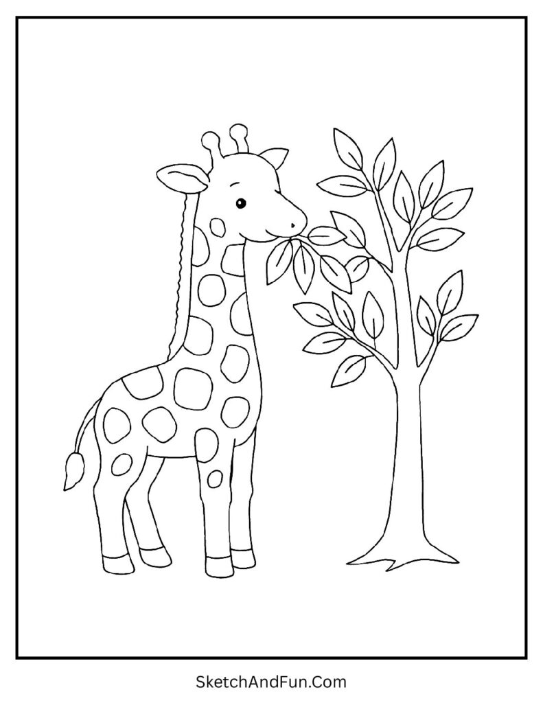 Giraffe eating leaves from a tree for easy coloring pages with few lines.