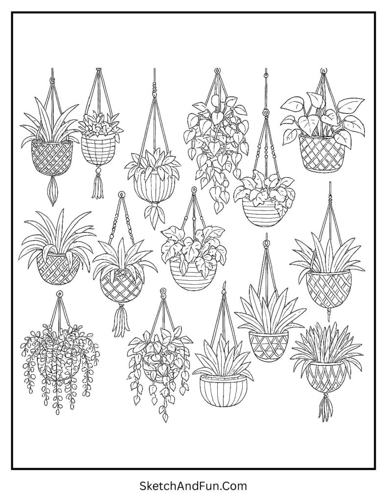 Wall of hanging plants in baskets for aesthetic nature coloring pages.