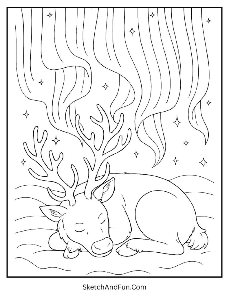 Reindeer resting under glowing auroras – realistic reindeer coloring pages
