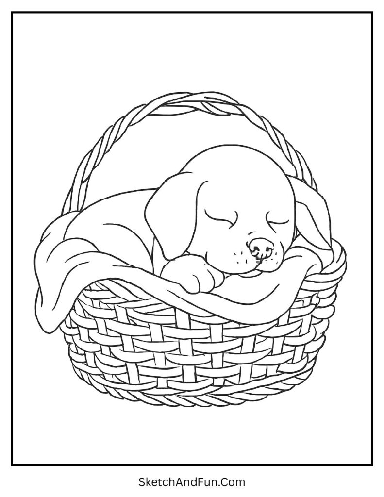 Sleeping puppy in a basket from cozy coloring pages animals in blanket