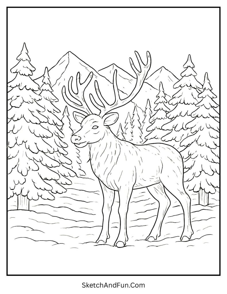 Reindeer standing in snowy pine forest – reindeer in forest coloring page