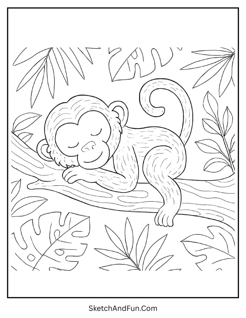 Peaceful monkey napping on a tree branch in simple monkey coloring outline