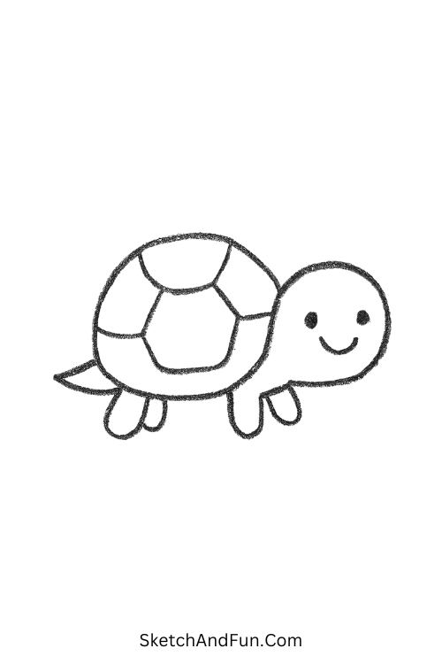 Baby turtle with a round shell great for simple drawing ideas with pencil.