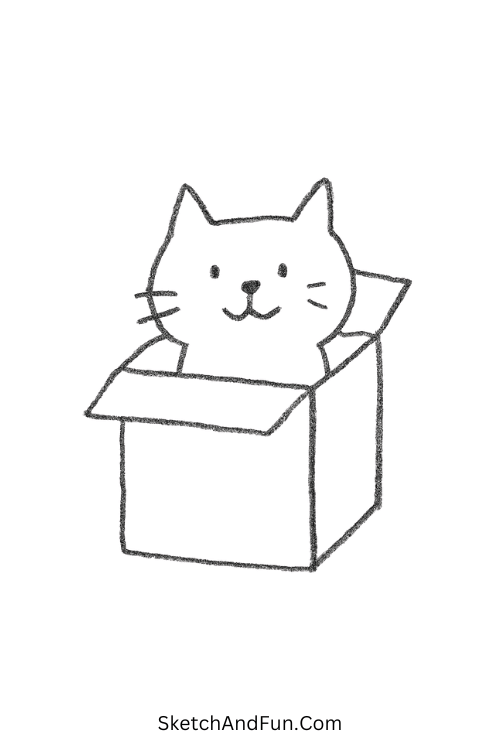 Cat peeking from a box perfect for easy step by step drawing ideas.