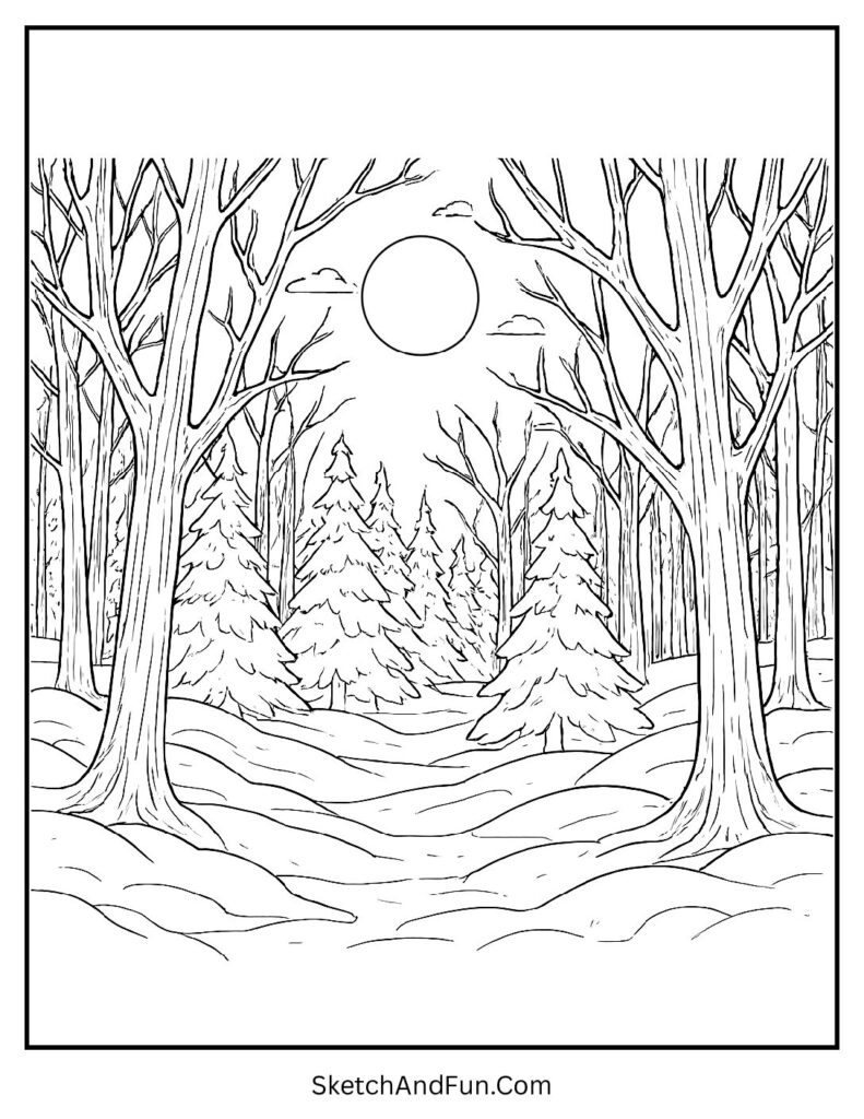 Moonlit forest view for a winter holiday landscape coloring coloring sheet