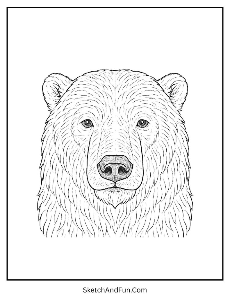 Detailed close-up of giant polar bear head in realistic polar bear coloring pages