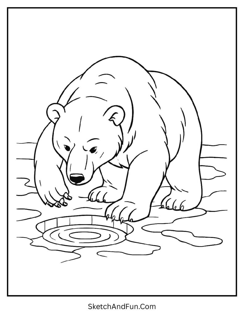 Bear fishing through ice hole in polar bear coloring sheet pdf