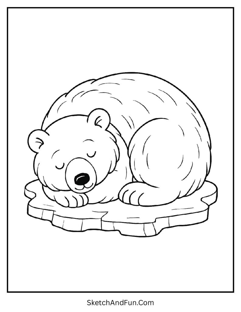 Sleeping bear curled on ice in polar bear coloring pages for preschoolers