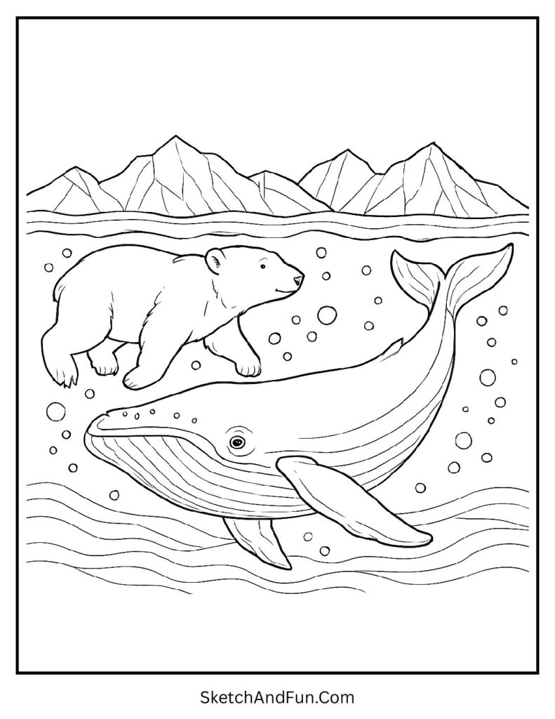Polar bear swimming beside whale in printable polar bear coloring page