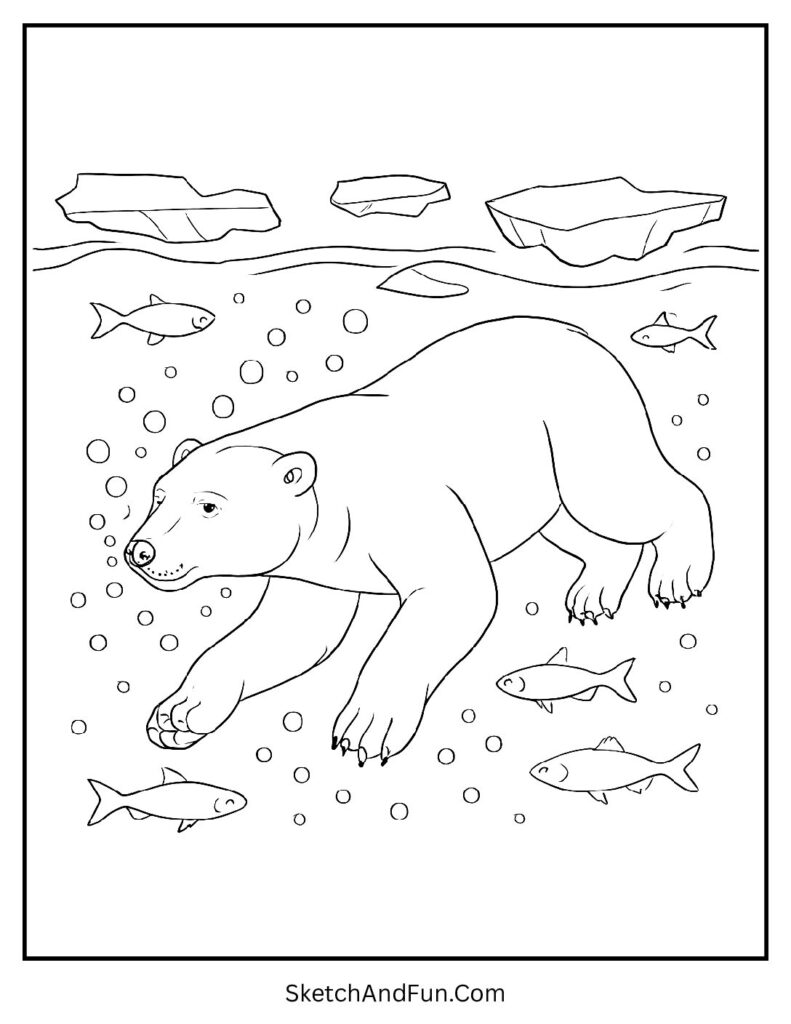 Polar bear swimming underwater with fish in polar bear coloring pages pdf download