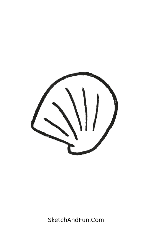 Simple seashell with curved lines great for simple drawing ideas for gifts.