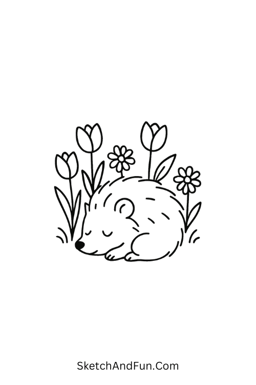 Curled hedgehog sleeping among tulips and daisies for spring animal drawing ideas