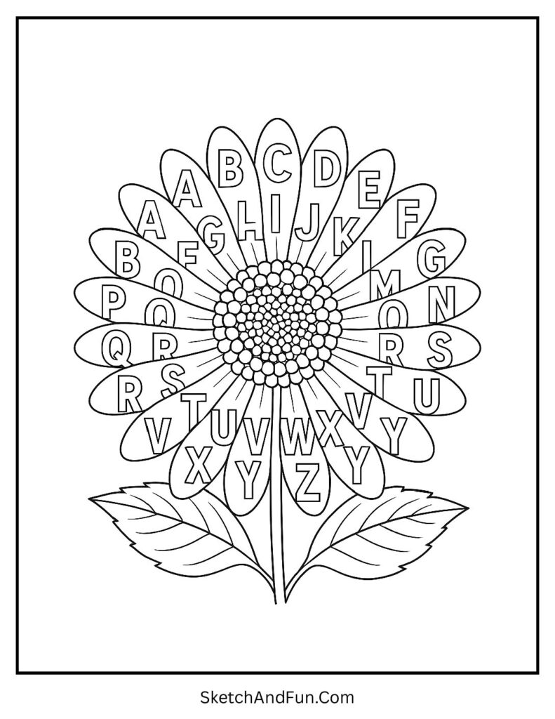 20+ Flower Coloring Pages - Free PDF Printables