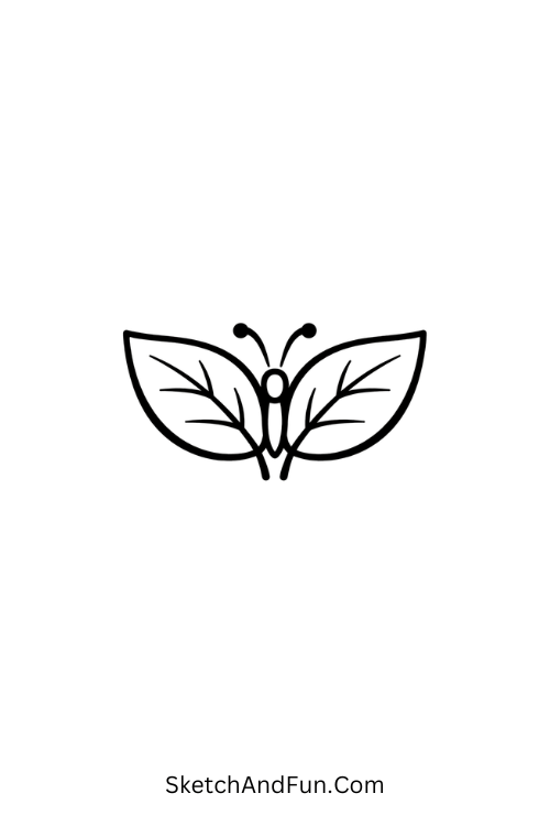 A drawing of a butterfly made from two leaves, beautiful nature drawing