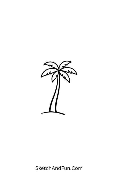 A drawing of a slim palm tree with soft leaves, palm tree drawing easy