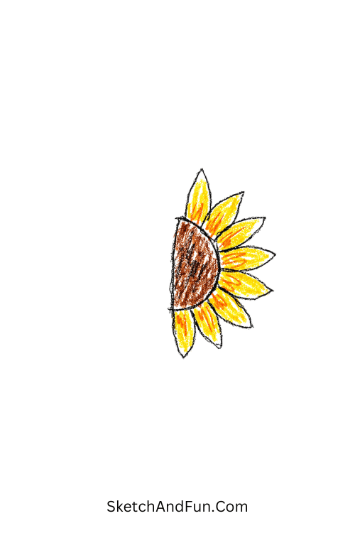 A doodle of half sunflower with clean lines, sunflower outline drawing